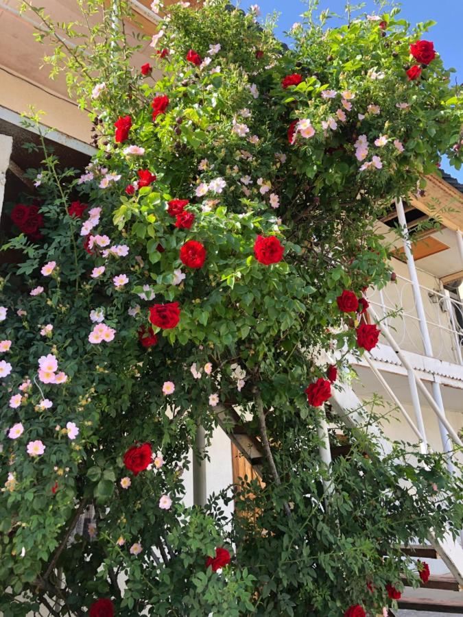 Гостевой Дом Айша Guest House Aisha Cholpon-Ata Kültér fotó